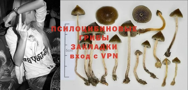 спайс Абинск